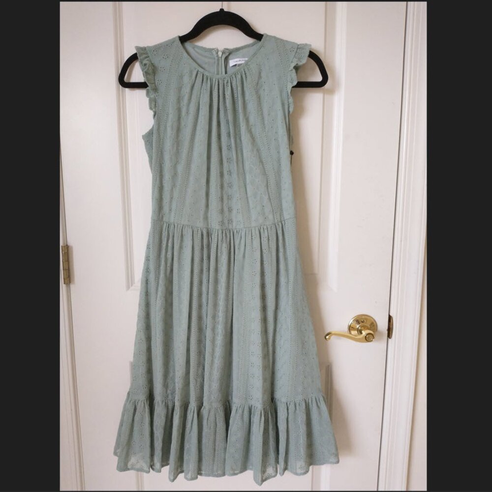 NWT Calvin Klein Embroidered Chiffon Ruffle Sleeve Dress Pale Green Size 2